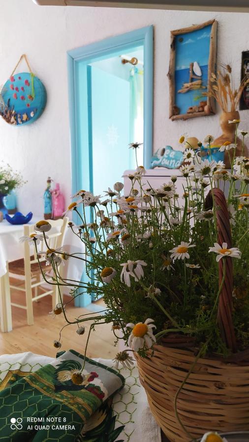Apartamento Socrates Sea View Kampos Marathokampou Exterior foto
