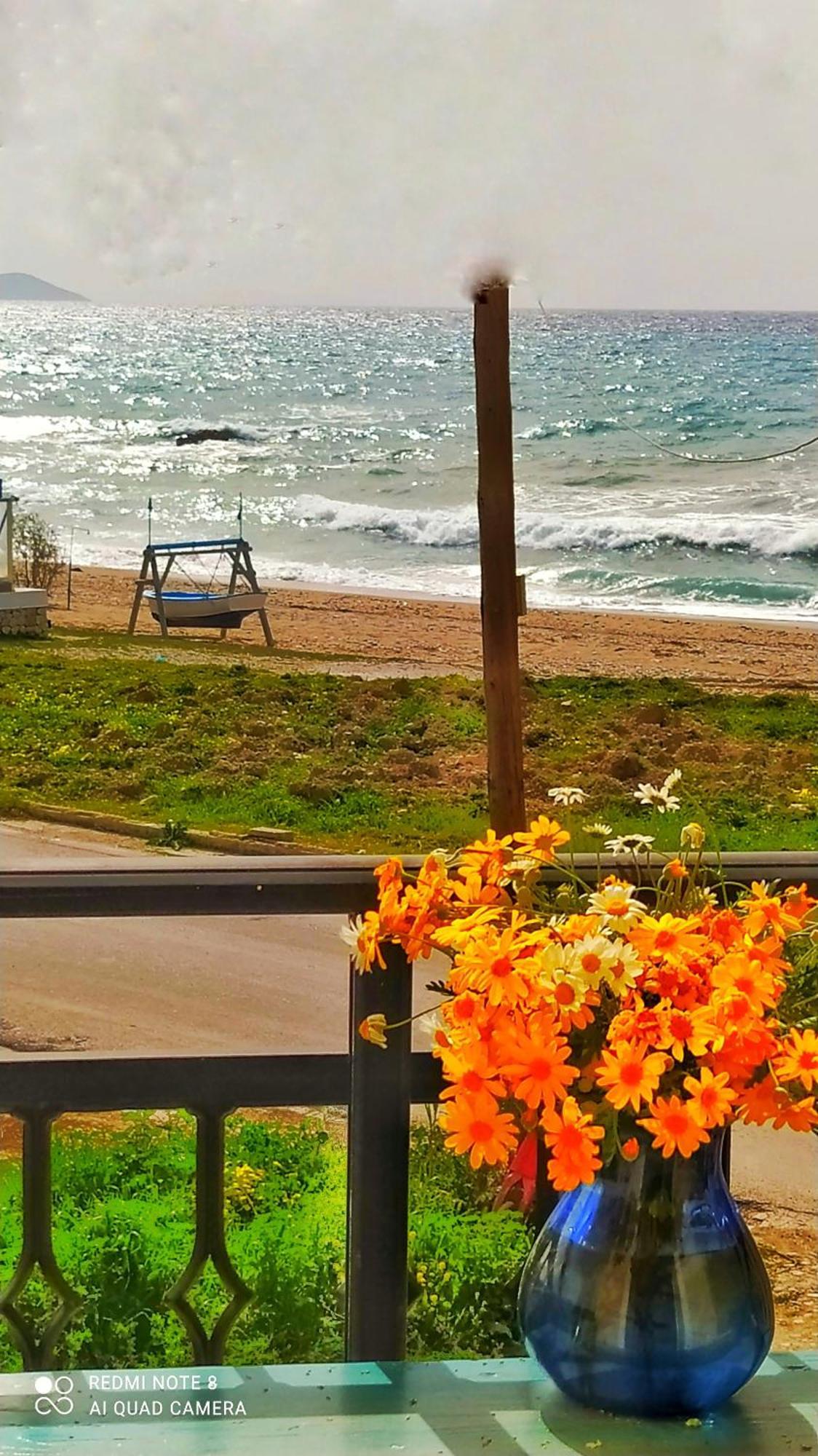 Apartamento Socrates Sea View Kampos Marathokampou Exterior foto
