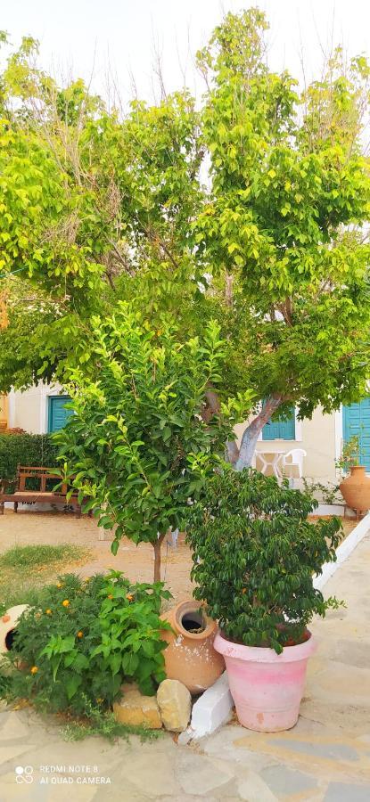 Apartamento Socrates Sea View Kampos Marathokampou Exterior foto